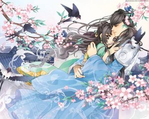 猫咪海外永久入口